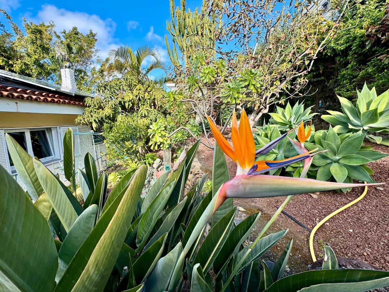 2 soveværelse Villa til salg i La Matanza de Acentejo med swimmingpool garage - € 595.000 (Ref: 8875183)