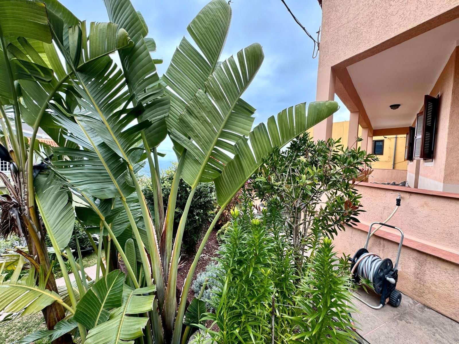 4 soveværelse Semi-Rækkehus til salg i Icod de los Vinos - € 395.000 (Ref: 8940340)