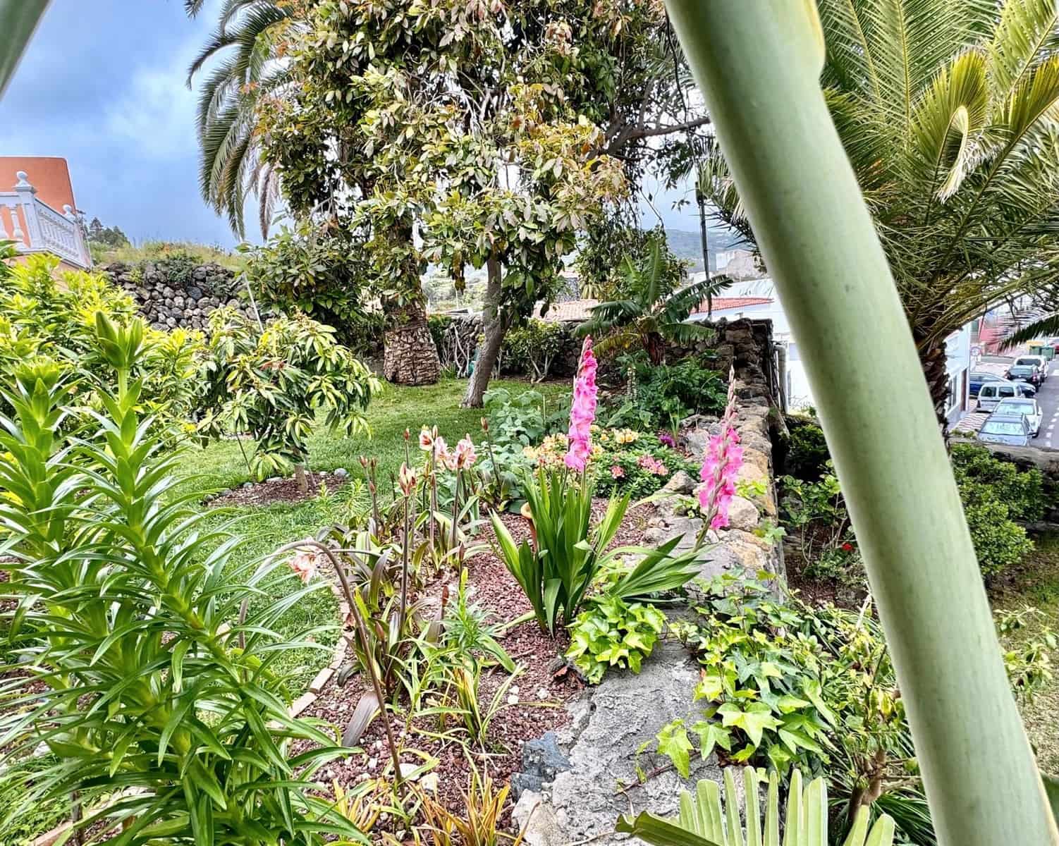 4 soveværelse Semi-Rækkehus til salg i Icod de los Vinos - € 395.000 (Ref: 8940340)