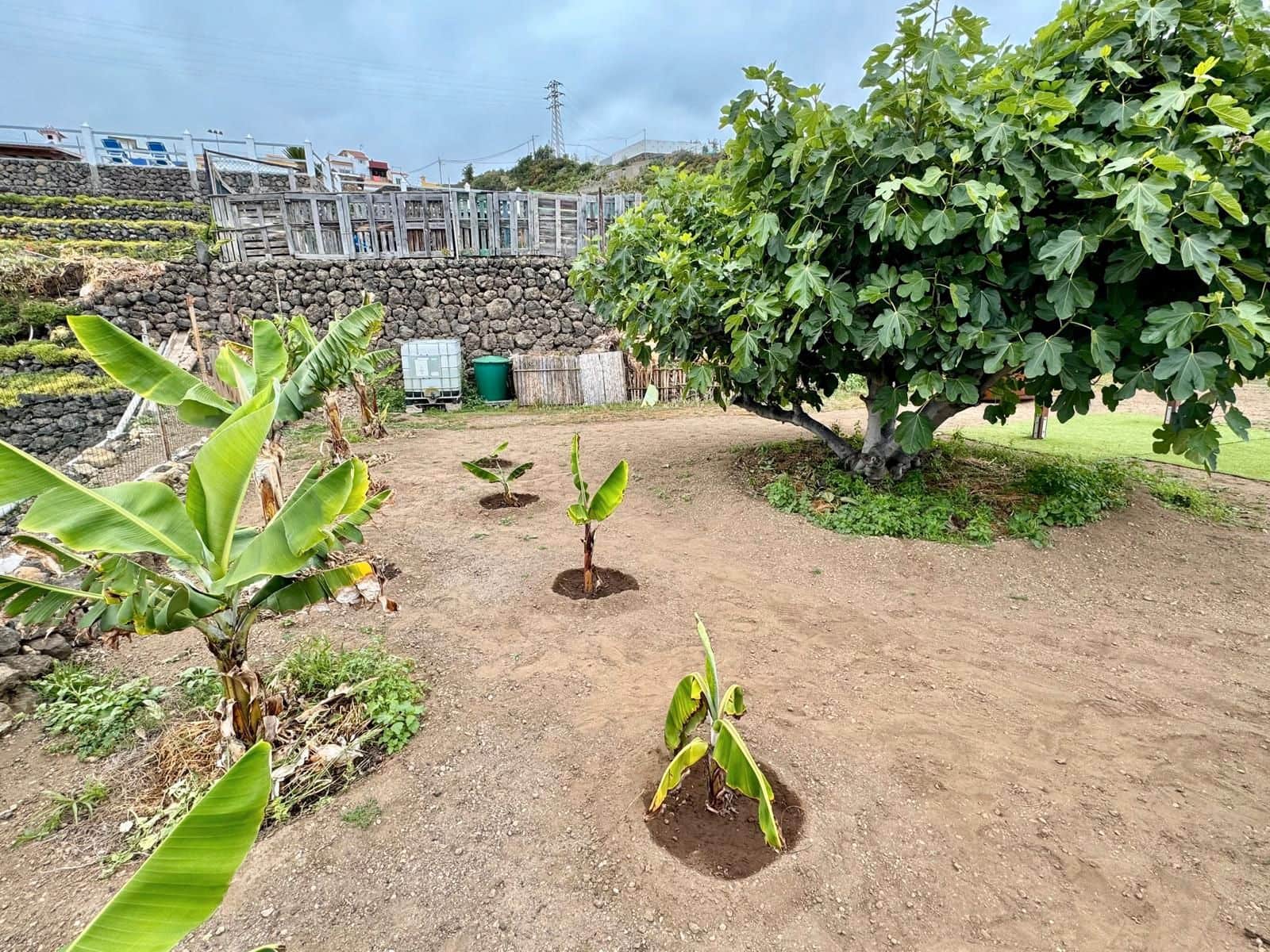 6 soveværelse Finca/Landehus til salg i Icod de los Vinos med garage - € 799.000 (Ref: 9030922)