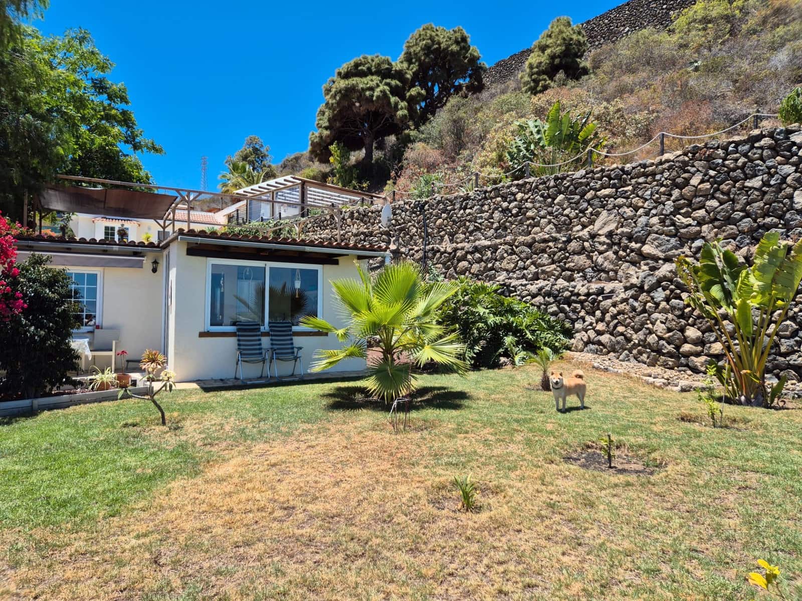 6 soveværelse Finca/Landehus til salg i Icod de los Vinos med garage - € 799.000 (Ref: 9030922)