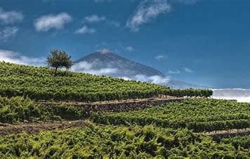 5 slaapkamer Villa te koop in Tacoronte met garage - € 399.000 (Ref: 9143674)