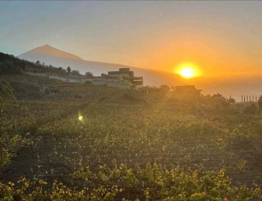 9 soveværelse Finca/Landehus til salg i La Orotava med garage - € 1.670.000 (Ref: 9209294)