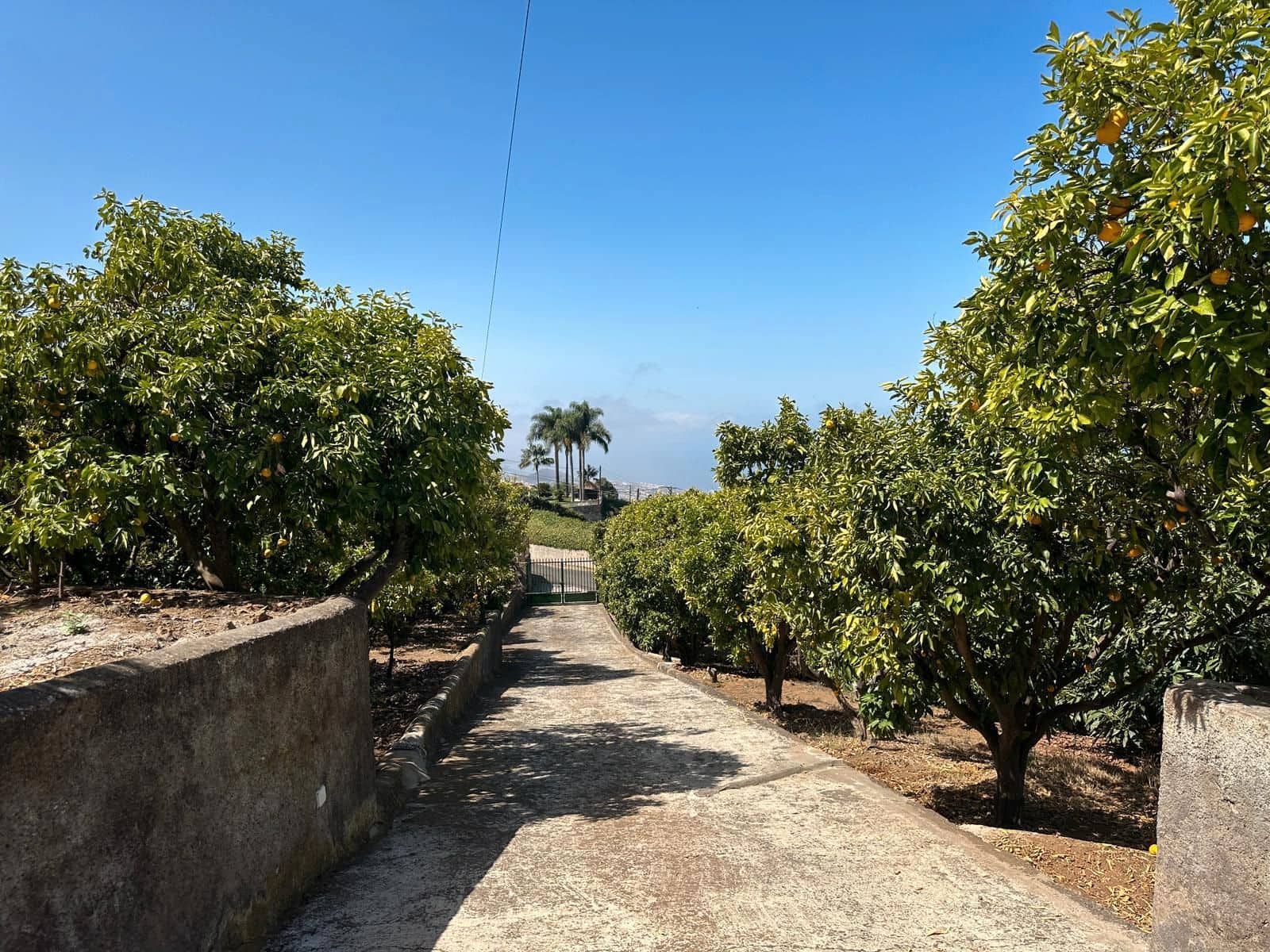 9 soveværelse Finca/Landehus til salg i La Orotava med garage - € 1.670.000 (Ref: 9209294)