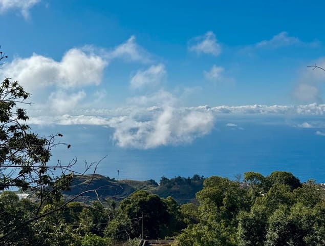 4 soverom Finca/Herregård til salgs i La Victoria de Acentejo - € 290 000 (Ref: 9248463)