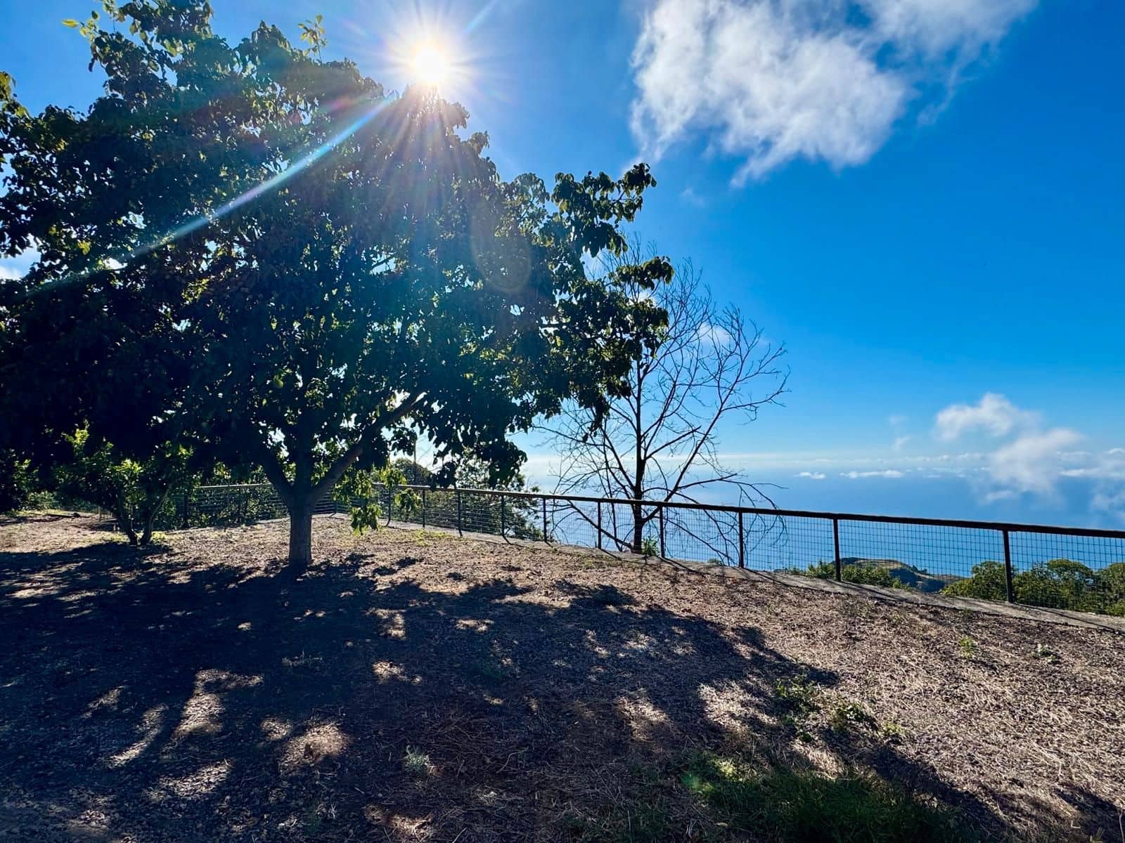 4 soveværelse Finca/Landehus til salg i La Victoria de Acentejo - € 290.000 (Ref: 9248463)