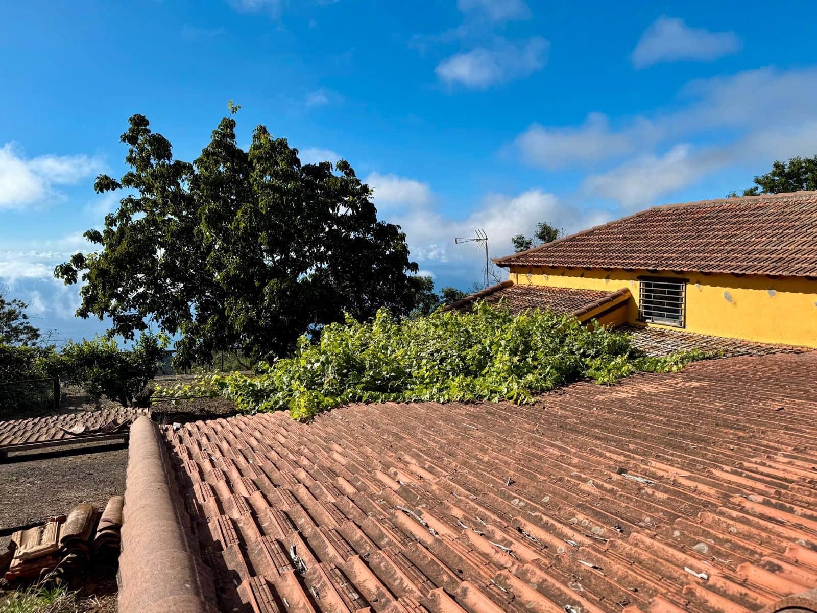 4 soveværelse Finca/Landehus til salg i La Victoria de Acentejo - € 290.000 (Ref: 9248463)