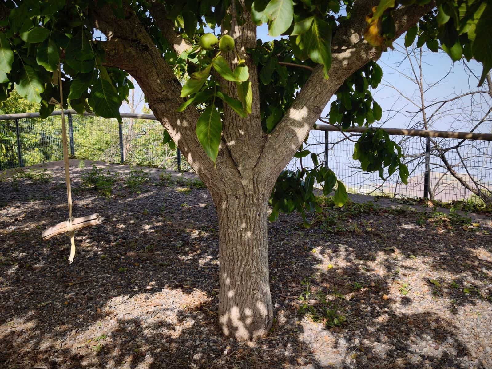 4 soveværelse Finca/Landehus til salg i La Victoria de Acentejo - € 290.000 (Ref: 9248463)