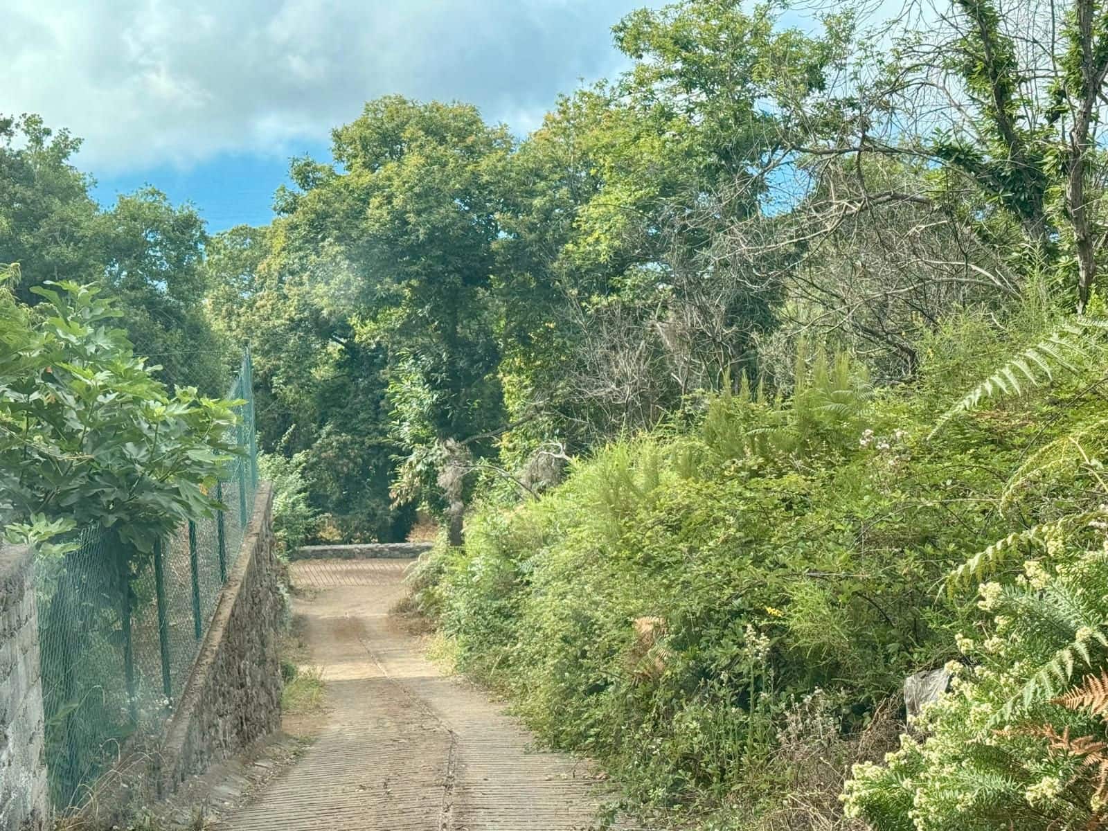 4 soveværelse Finca/Landehus til salg i La Victoria de Acentejo - € 290.000 (Ref: 9248463)