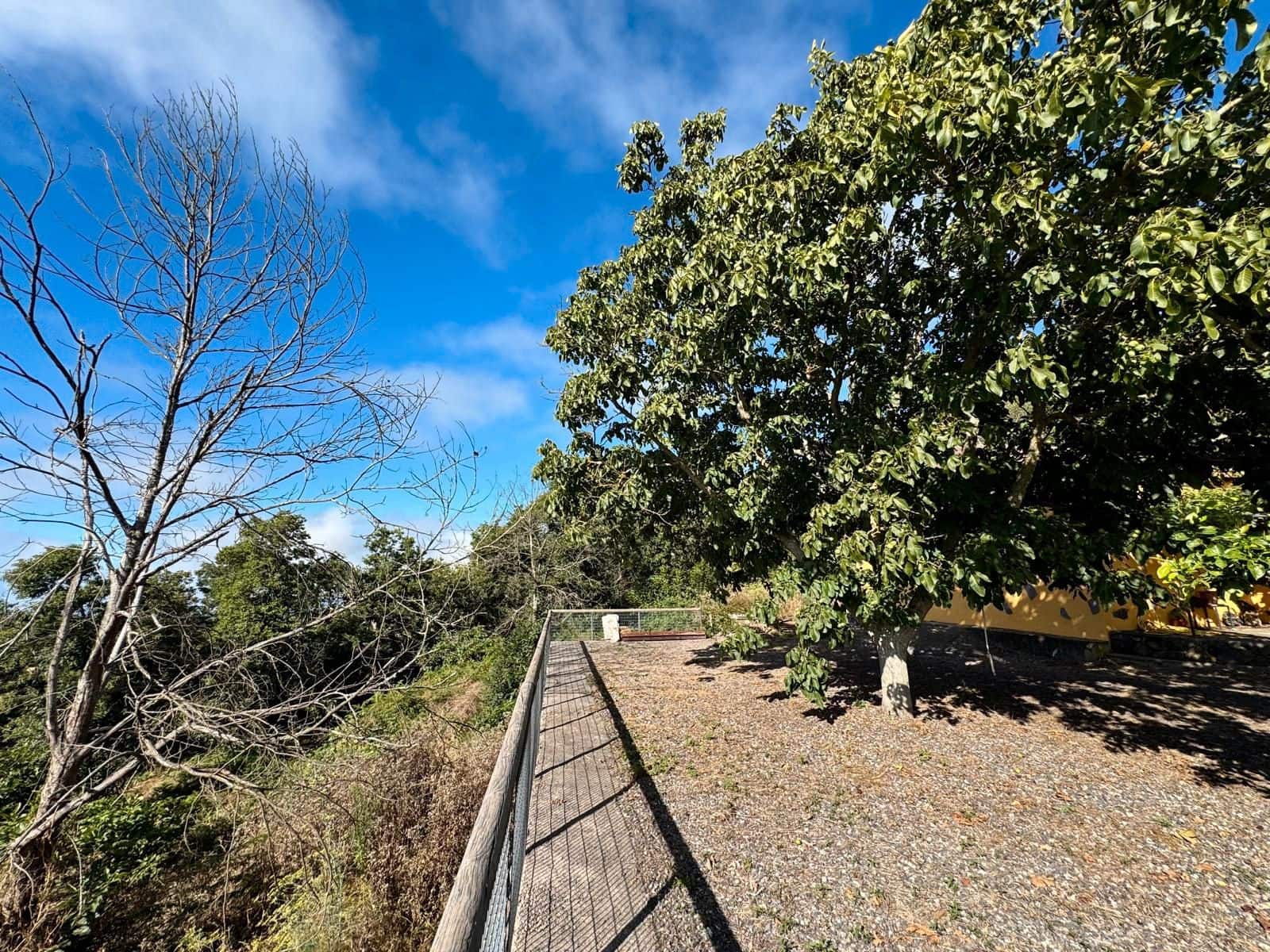 4 soveværelse Finca/Landehus til salg i La Victoria de Acentejo - € 290.000 (Ref: 9248463)