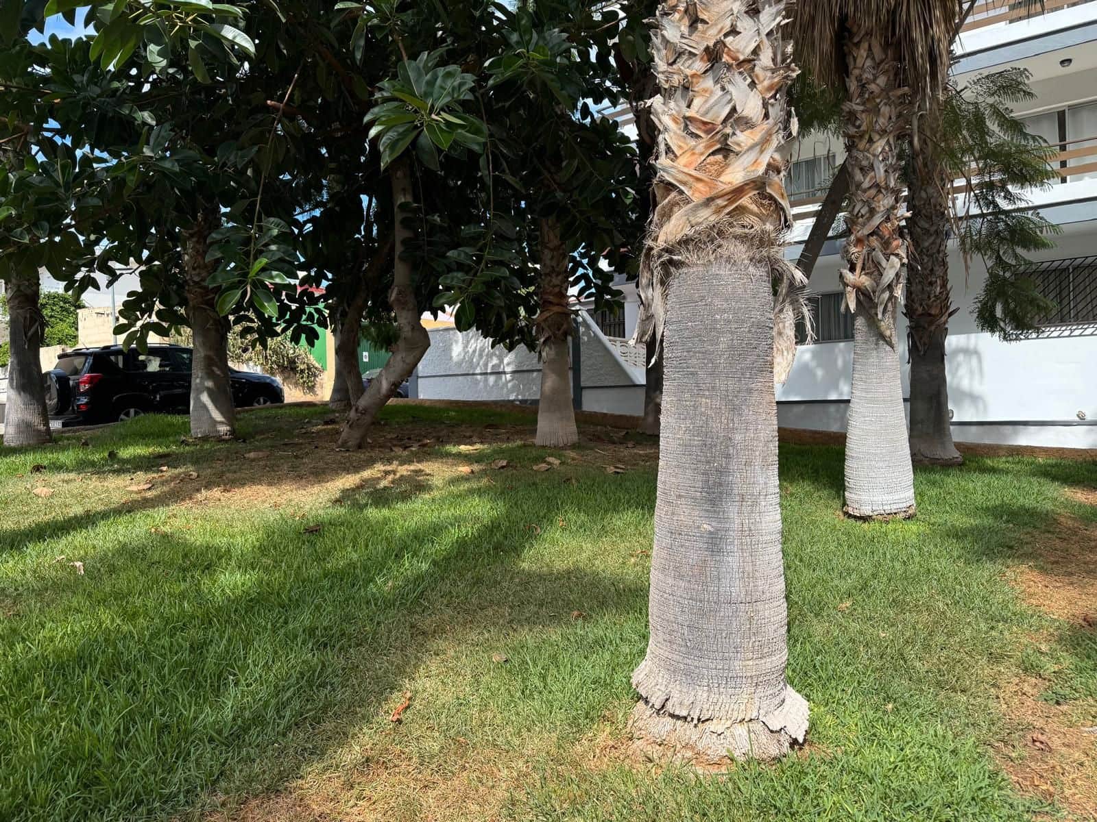 Studio te koop in Puerto de la Cruz - € 165.000 (Ref: 9305371)