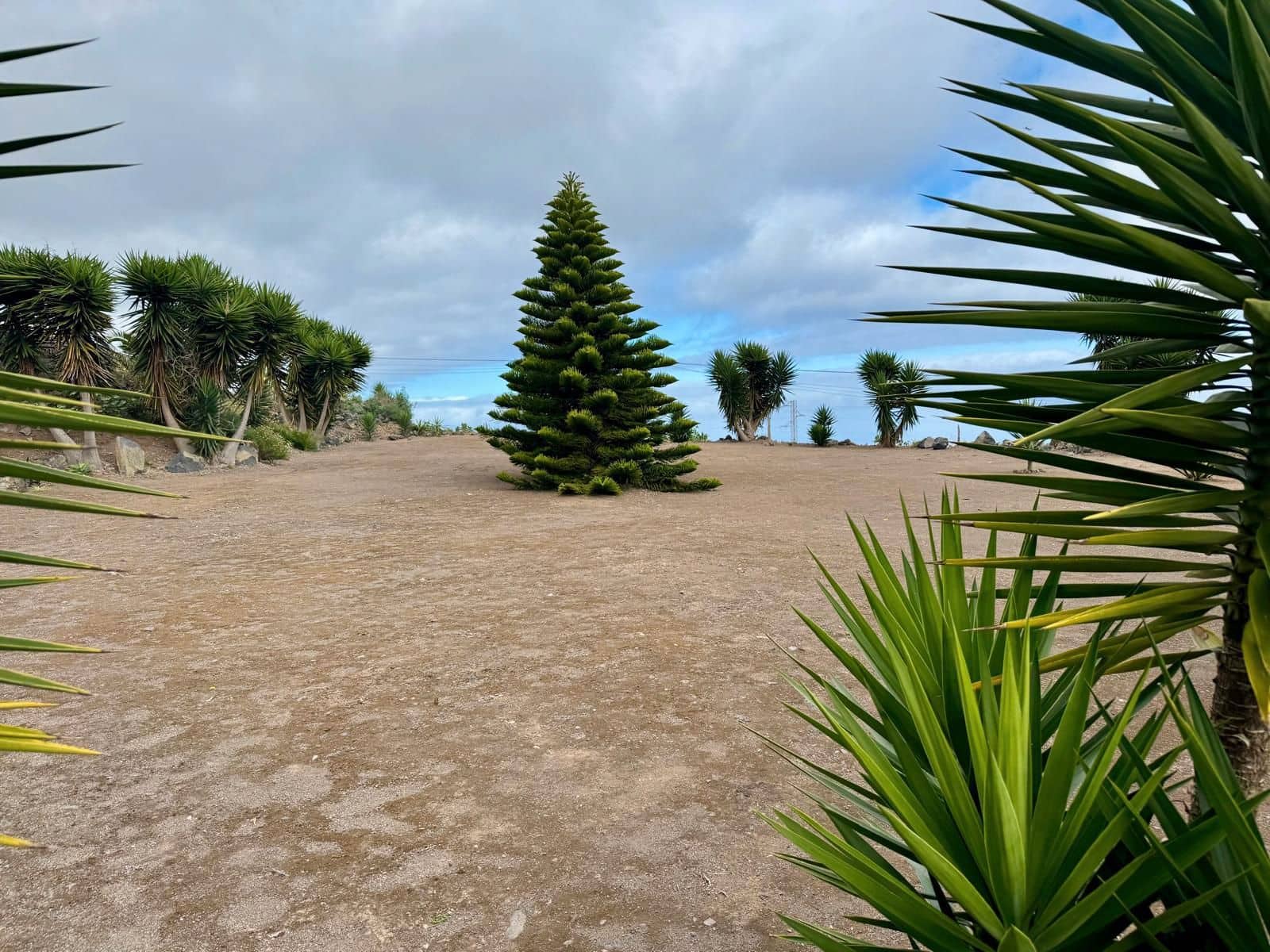 7 quarto Hotel para venda em Los Realejos - 1 300 000 € (Ref: 9305372)