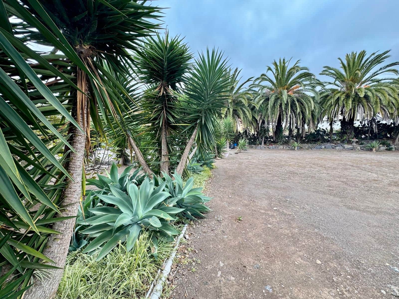 7 quarto Hotel para venda em Los Realejos - 1 300 000 € (Ref: 9305372)