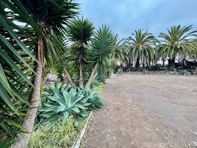 7 soveværelse Hotel til salg i Los Realejos - € 1.300.000 (Ref: 9305372)