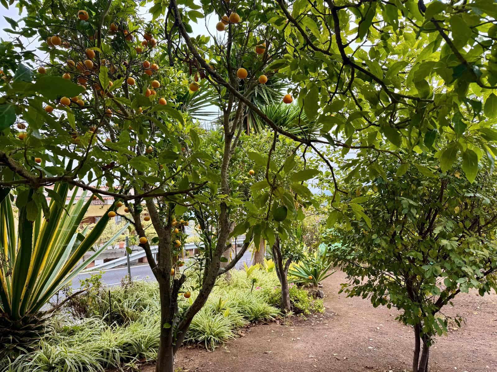 7 quarto Hotel para venda em Los Realejos - 1 300 000 € (Ref: 9305372)