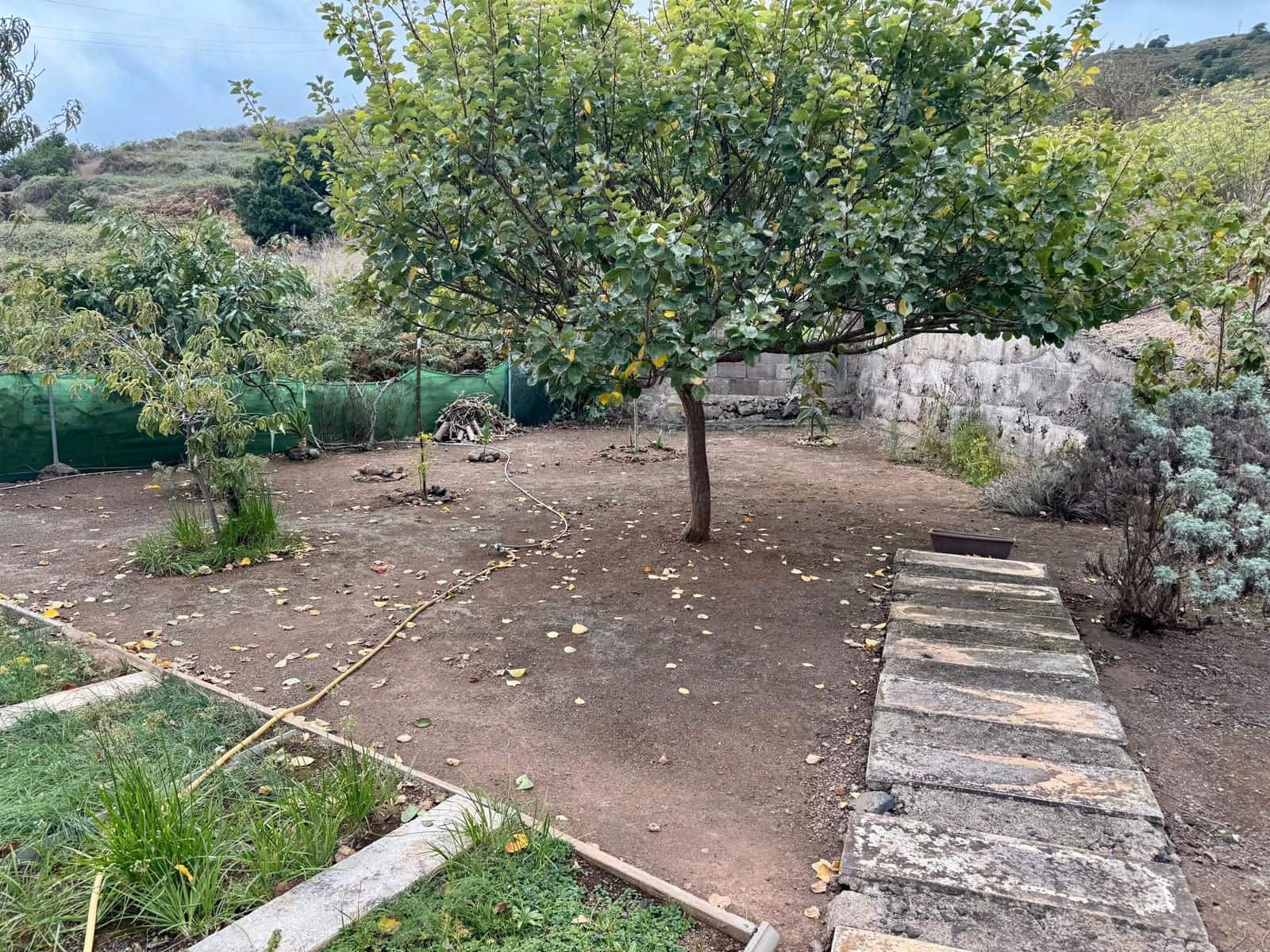 7 quarto Hotel para venda em Los Realejos - 1 300 000 € (Ref: 9305372)