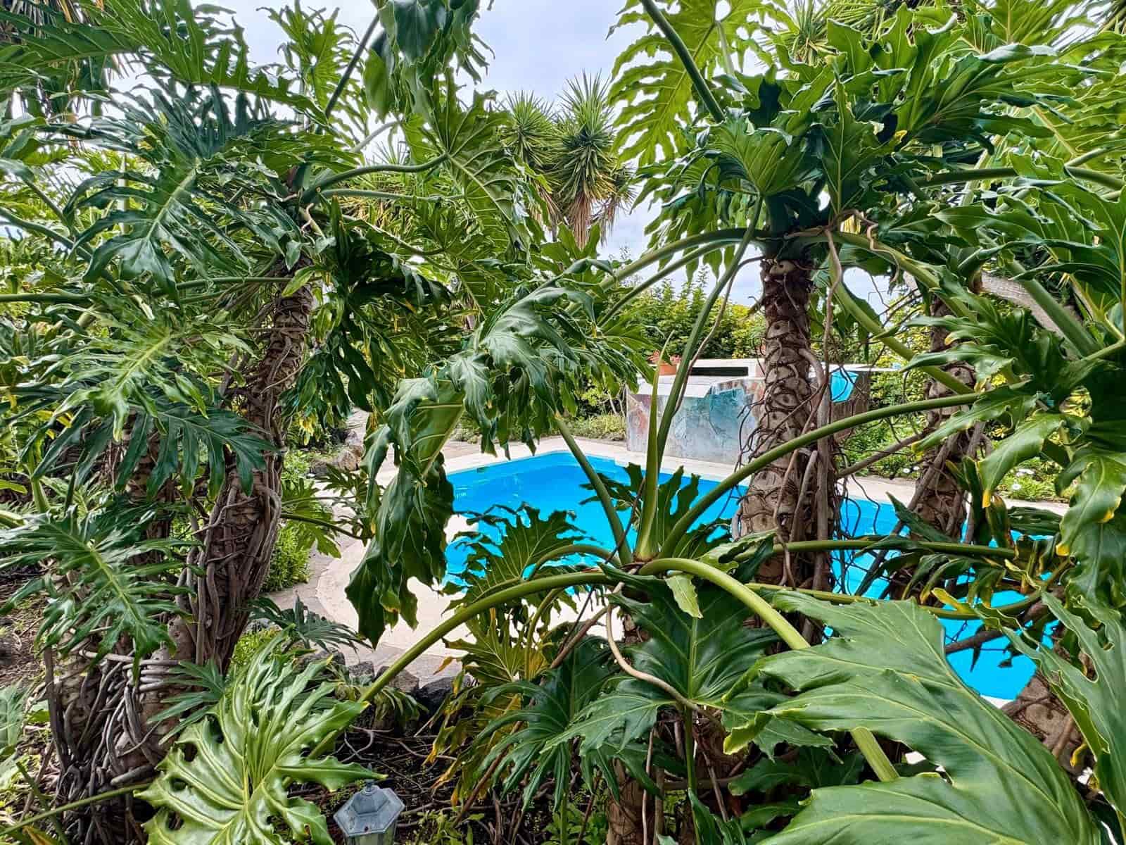 4 slaapkamer Finca/Landhuis te koop in Icod de los Vinos met zwembad - € 690.000 (Ref: 9452988)