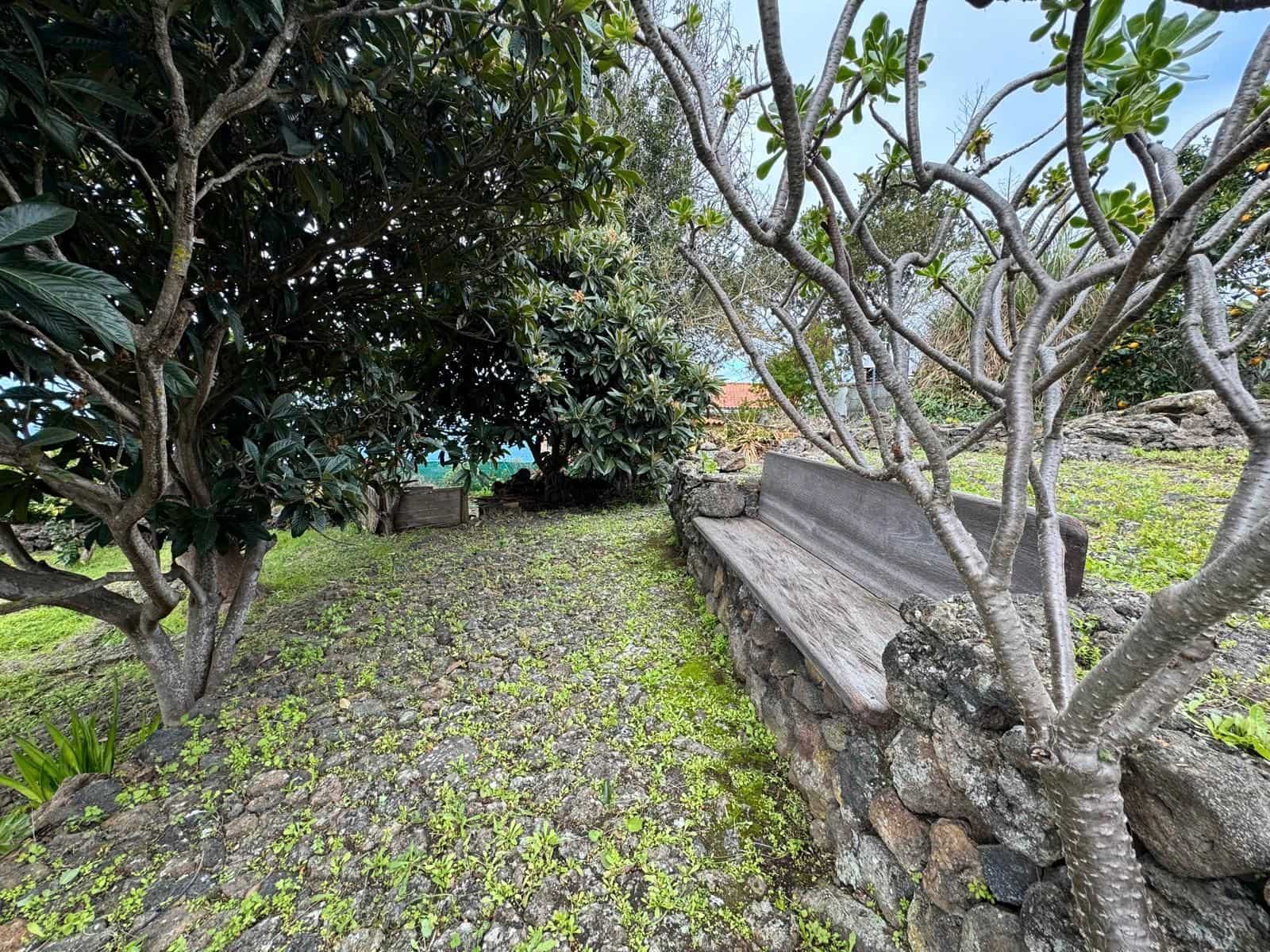 4 slaapkamer Finca/Landhuis te koop in Icod de los Vinos met zwembad - € 690.000 (Ref: 9452988)