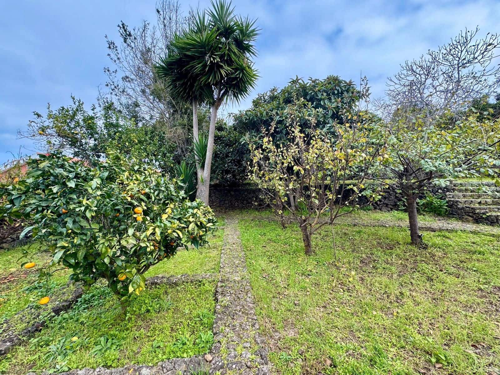 4 slaapkamer Finca/Landhuis te koop in Icod de los Vinos met zwembad - € 690.000 (Ref: 9452988)