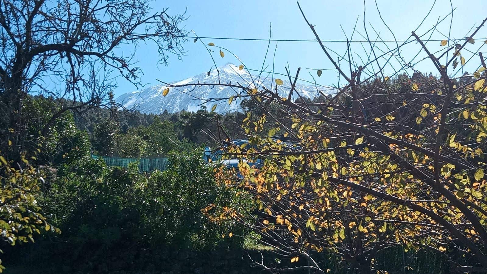 4 bedroom Finca/Country House for sale in Icod de los Vinos with pool - € 690,000 (Ref: 9452988)