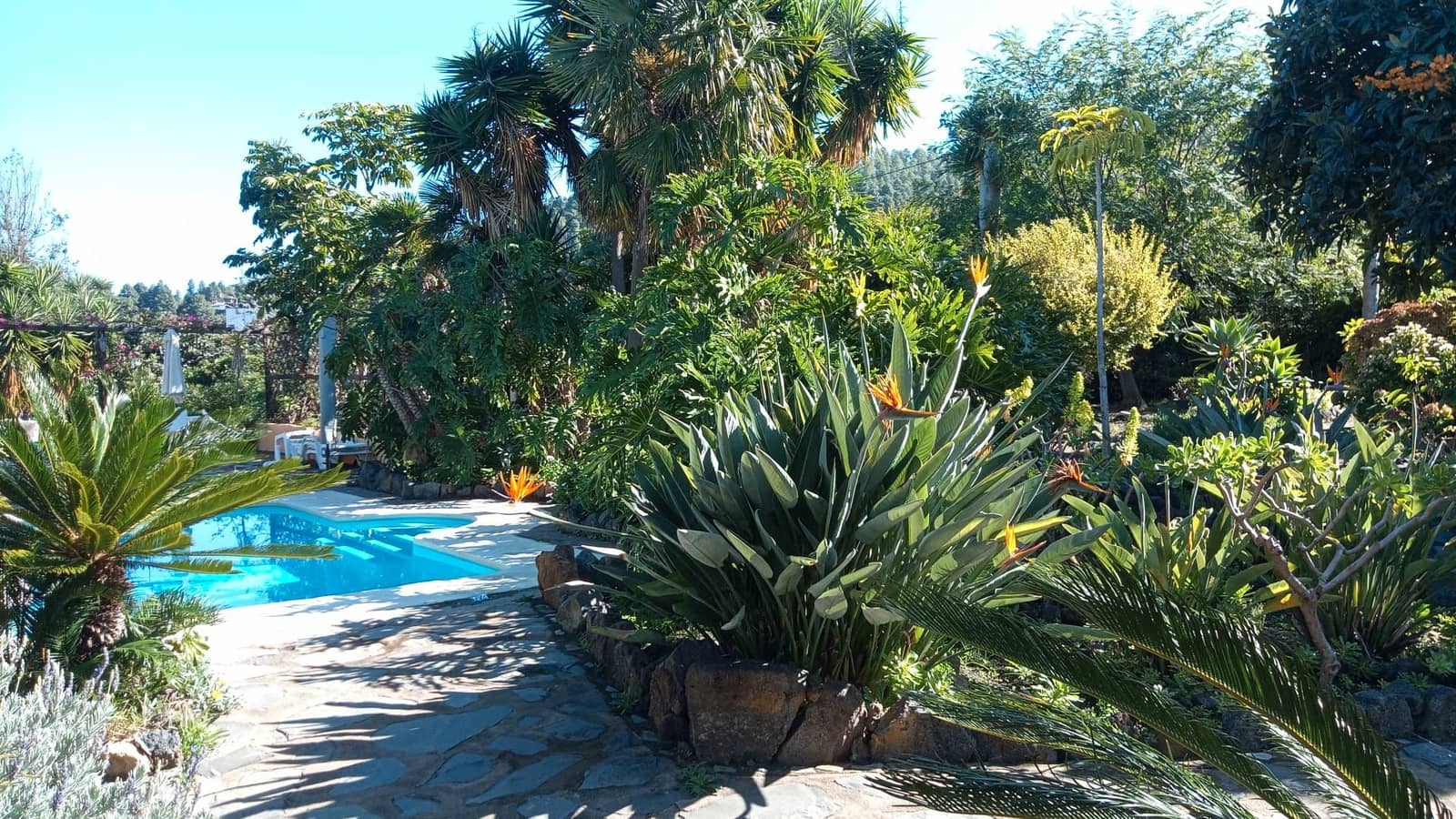 4 bedroom Finca/Country House for sale in Icod de los Vinos with pool - € 690,000 (Ref: 9452988)