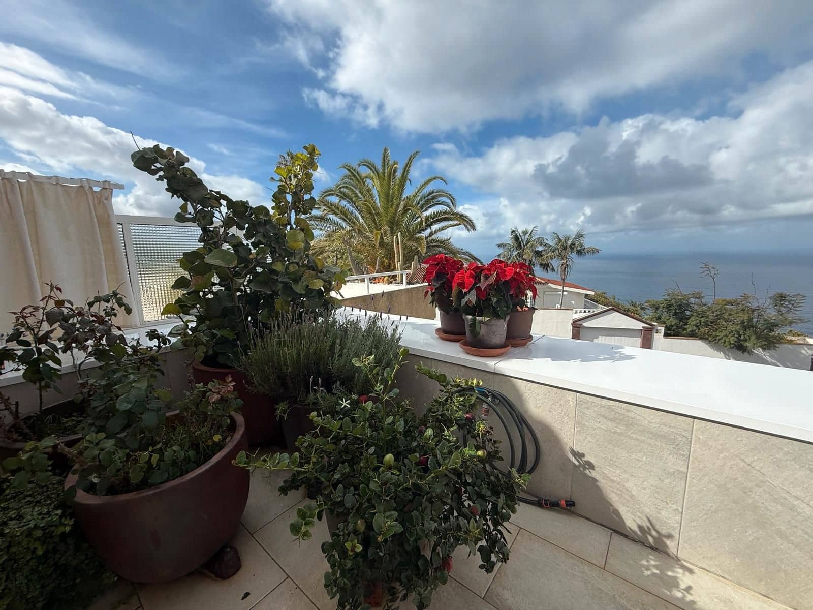 1 Zimmer Wohnung zu verkaufen in Santa Ursula mit Pool Garage - 295.000 € (Ref: 9465212)