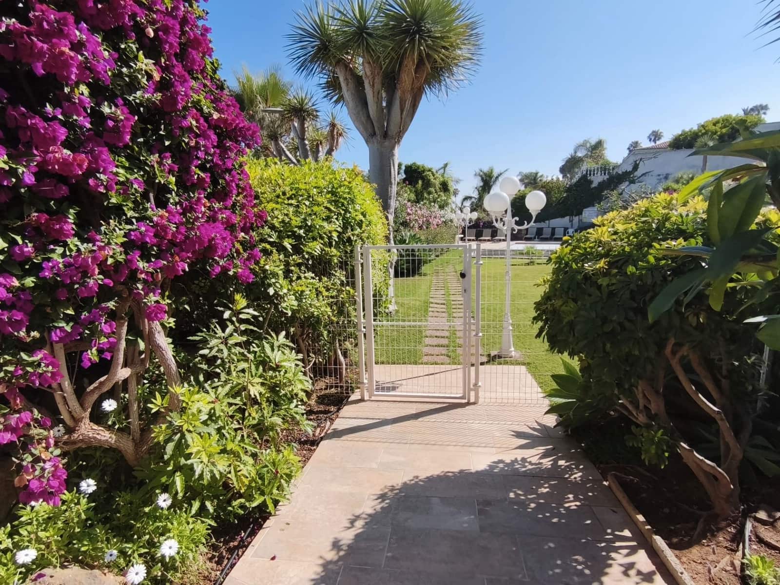 1 Zimmer Wohnung zu verkaufen in Santa Ursula mit Pool Garage - 295.000 € (Ref: 9465212)