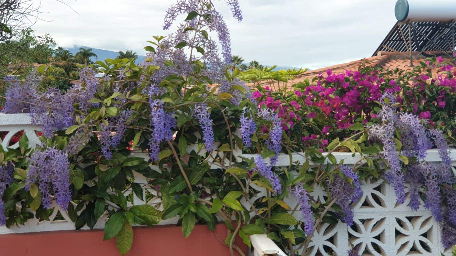 4 bedroom Villa for sale in El Sauzal with pool garage - € 735,000 (Ref: 9622054)