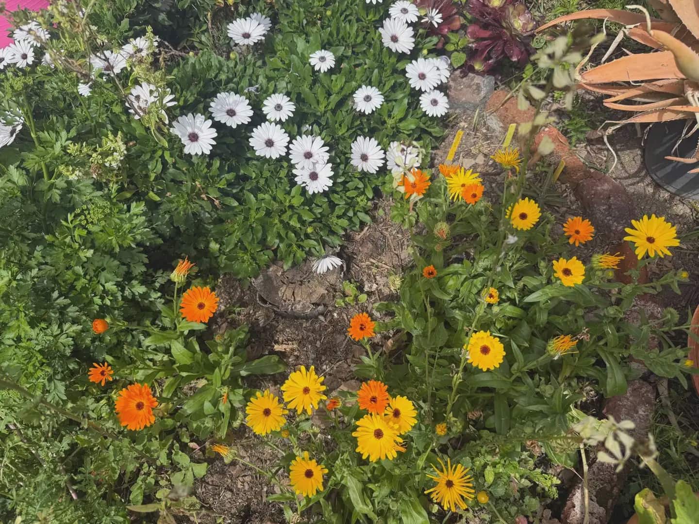 4 chambre Maison de Ville à vendre à Garachico avec garage - 800 000 € (Ref: 9800741)