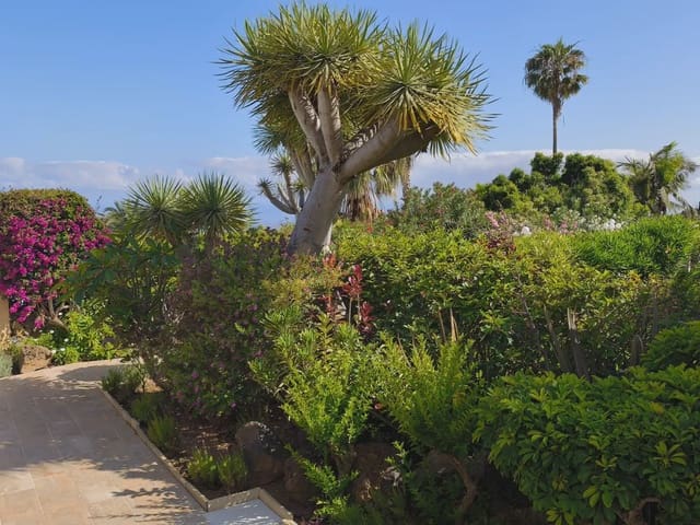 Apartamento de 2 habitaciones en Santa Ursula en venta con piscina garaje - 390.000 € (Ref: 9902115)