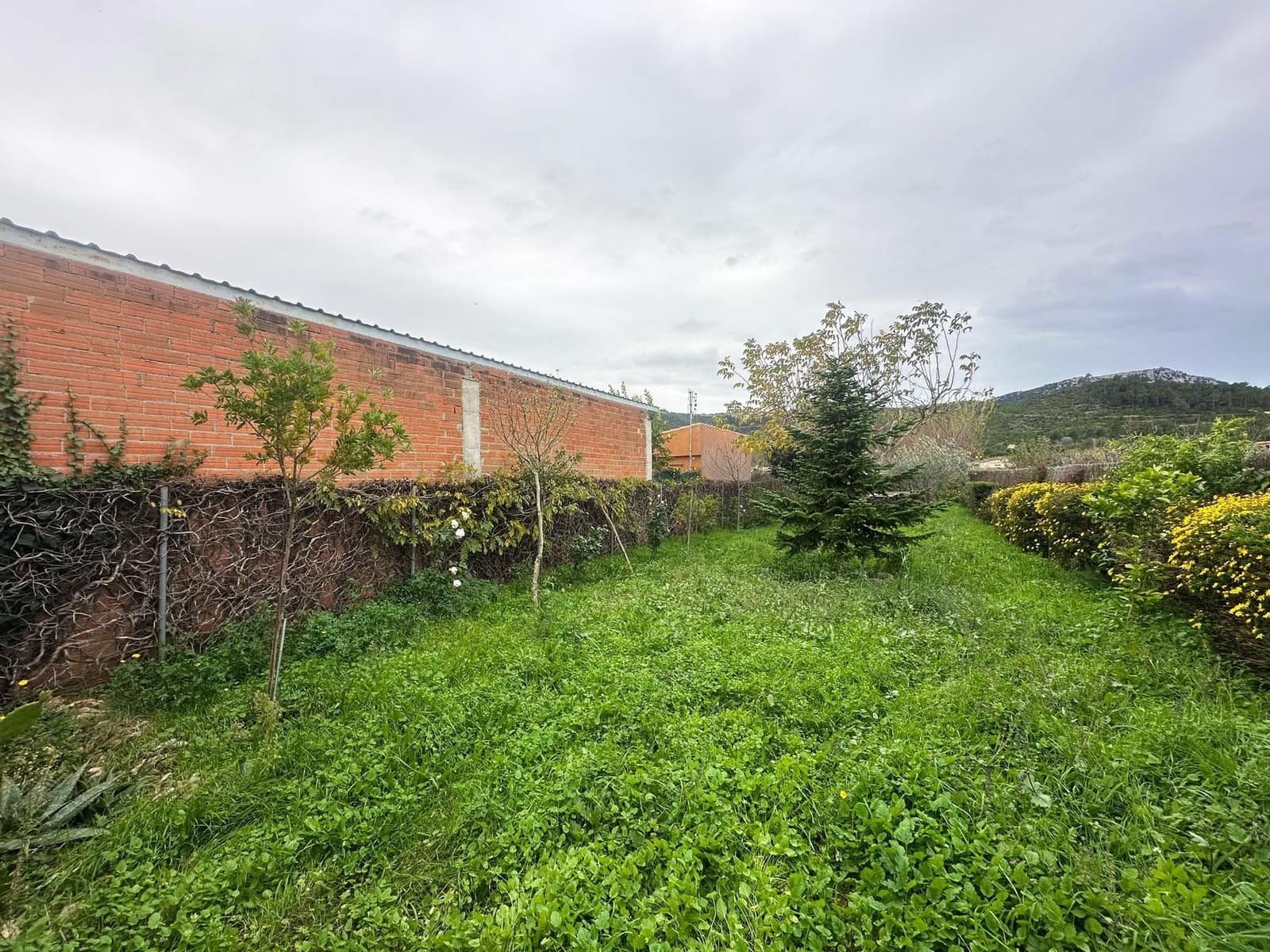 3 slaapkamer Huis te koop in Boadella d'Emporda - € 295.000 (Ref: 9423935)