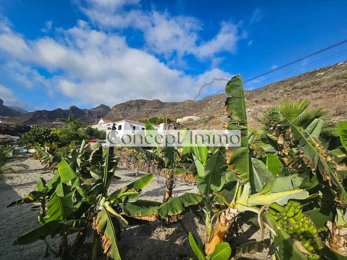 5 chambre Finca/Maison de Campagne à vendre à Santiago del Teide avec piscine garage - 1 950 000 € (Ref: 10112229)