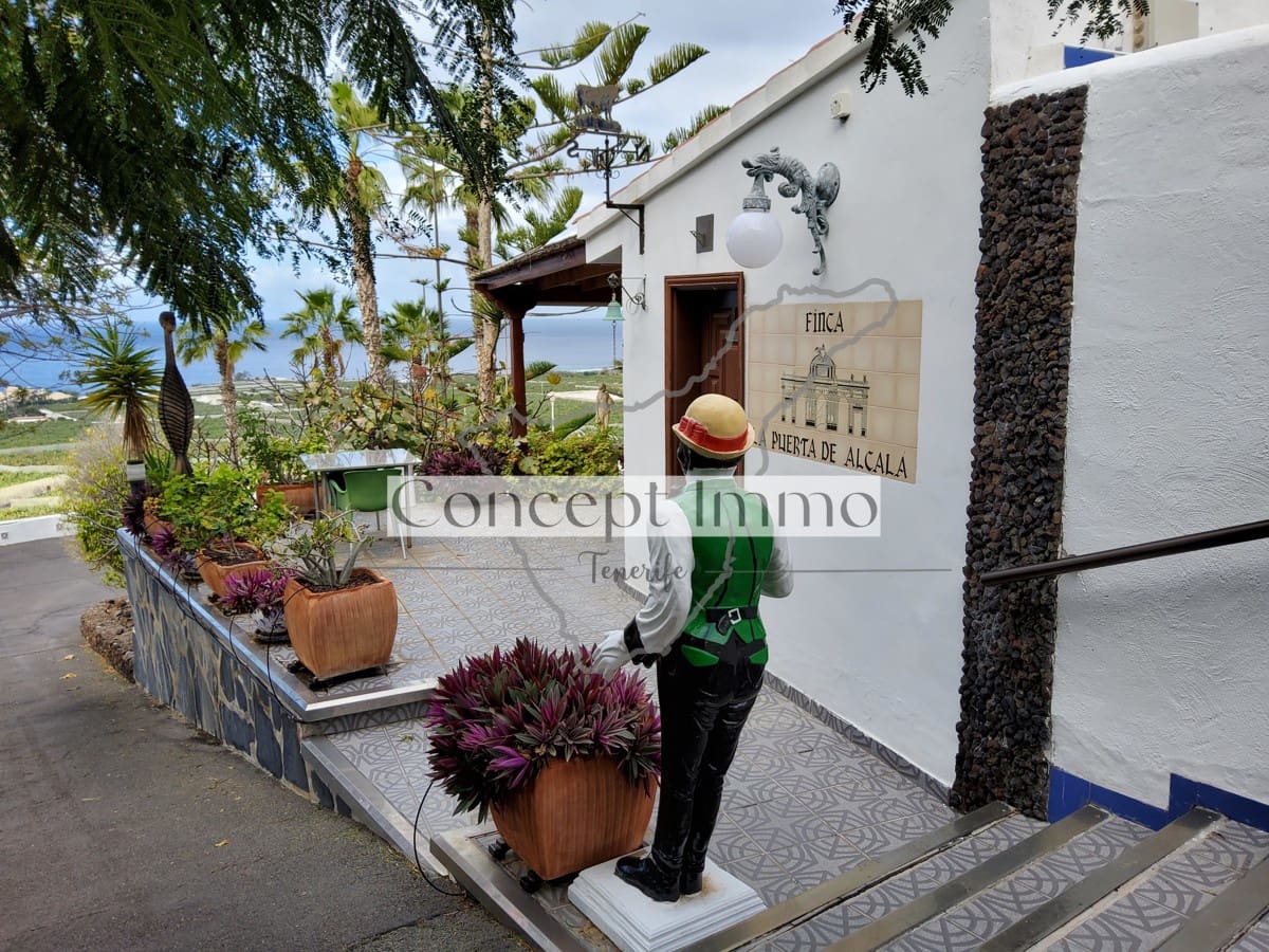 9 soveværelse Hotel til salg i Alcala med swimmingpool - € 3.050.000 (Ref: 9245276)