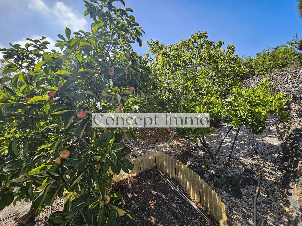 3 sovrum Finca/Hus på landet till salu i Chirche med garage - 595 000 € (Ref: 9761456)