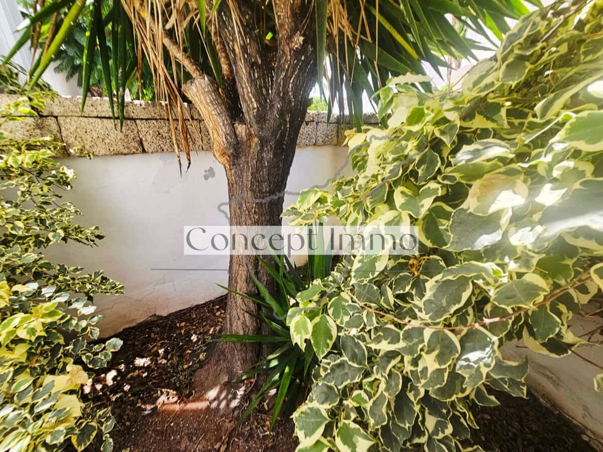 1 soverom Leilighet til salgs i Costa Adeje med svømmebasseng - € 280 000 (Ref: 9958953)
