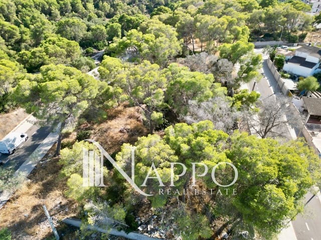Terreno para Construção para venda em Palma de Mallorca - 320 000 € (Ref: 10093720)