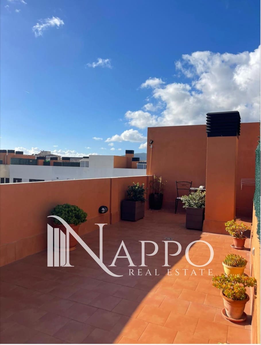 2 bedroom Flat for rent in Palma de Mallorca with garage - € 1,400 (Ref: 7902545)