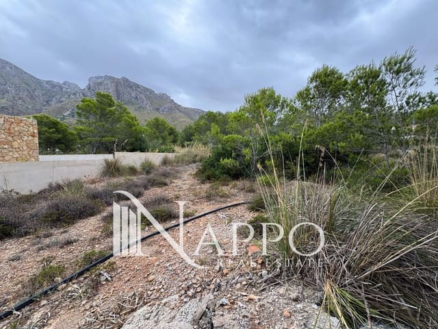 Building Plot for sale in Artà - € 350,000 (Ref: 9160335)