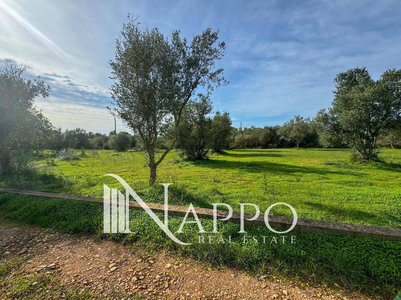 3 soverom Villa til salgs i Llucmajor med svømmebasseng - € 699 000 (Ref: 9311851)