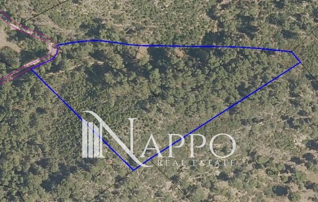 Bouwgrond te koop in Andratx - € 83.000 (Ref: 9386877)