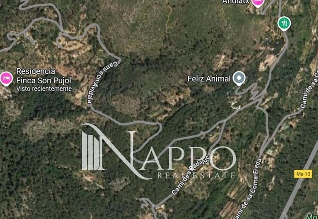 Bouwgrond te koop in Andratx - € 83.000 (Ref: 9386877)