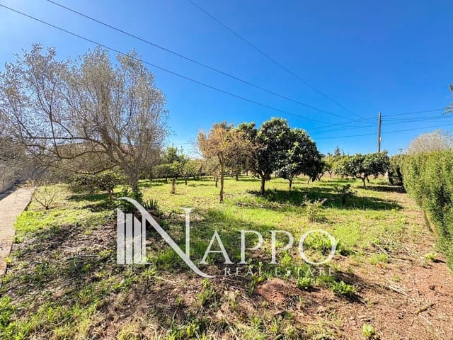 10 quarto Moradia para venda em Santa María del Camí - 1 065 000 € (Ref: 9720580)