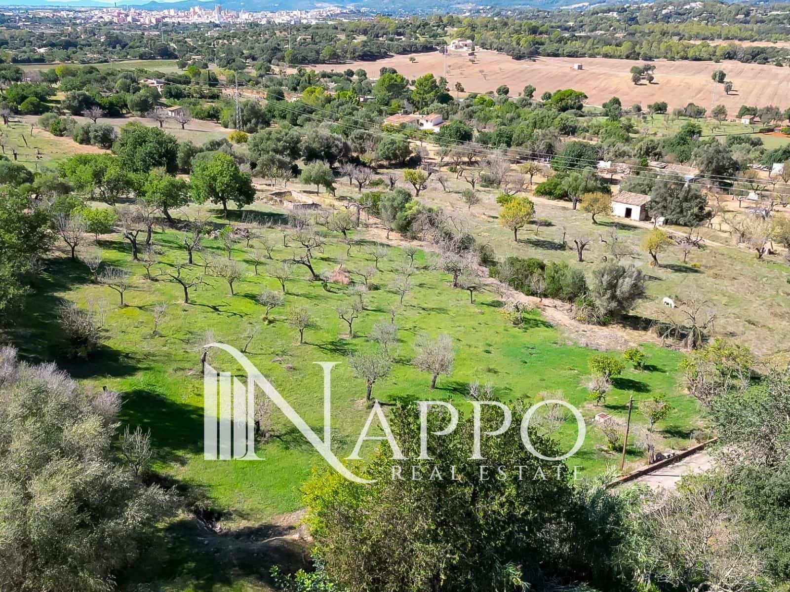 6 sypialnia Willa na sprzedaż w Inca z basenem garażem - 1 800 000 € (Ref: 9784305)