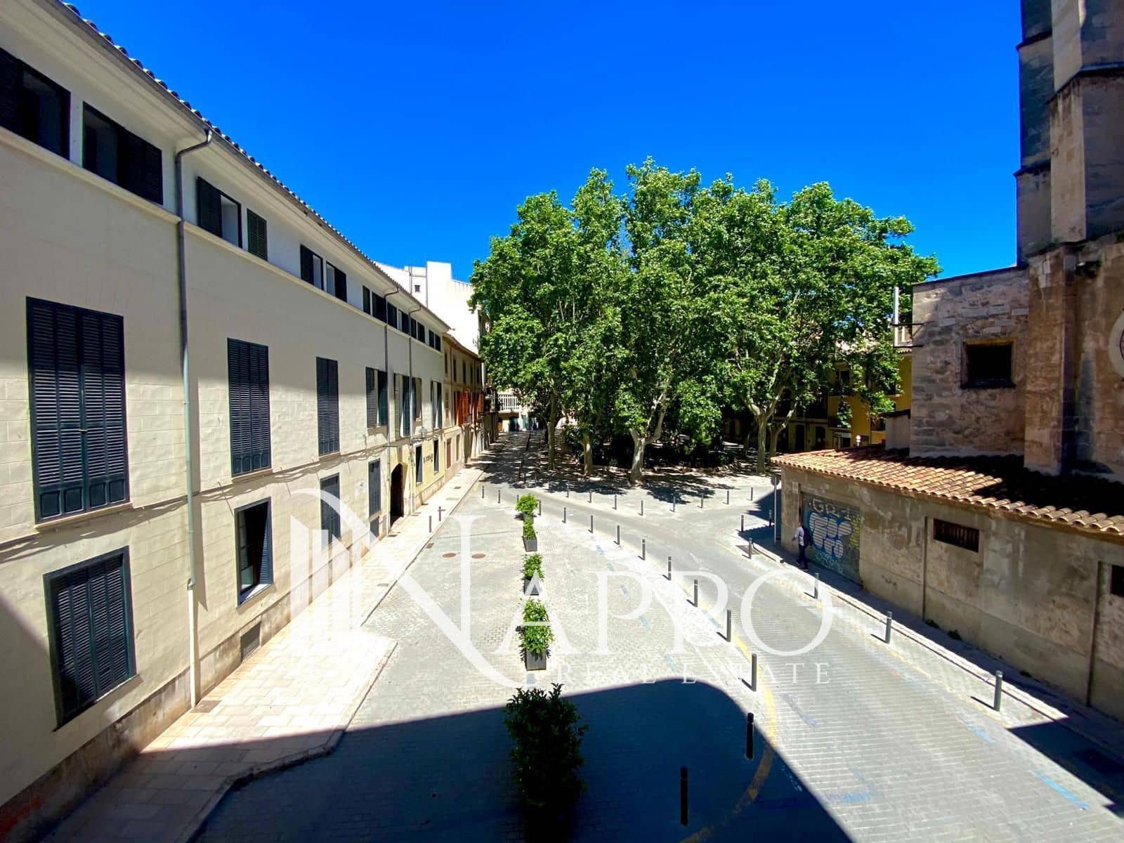 2 Zimmer Wohnung zu vermieten in Palma de Mallorca - 2.250 € (Ref: 9831976)