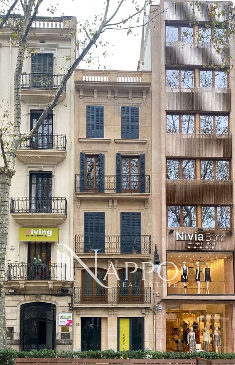 Appartement de 1 chambre à louer à Palma de Mallorca - 1 750 € (Ref: 9854421)