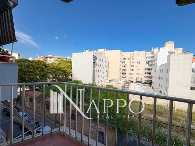 3 bedroom Flat for rent in Palma de Mallorca - € 1,600 (Ref: 9902241)