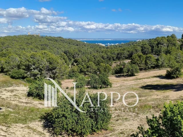 4 soveværelse Byhus til salg i Genova, Palma de Mallorca med swimmingpool garage - € 2.500.000 (Ref: 9938578)