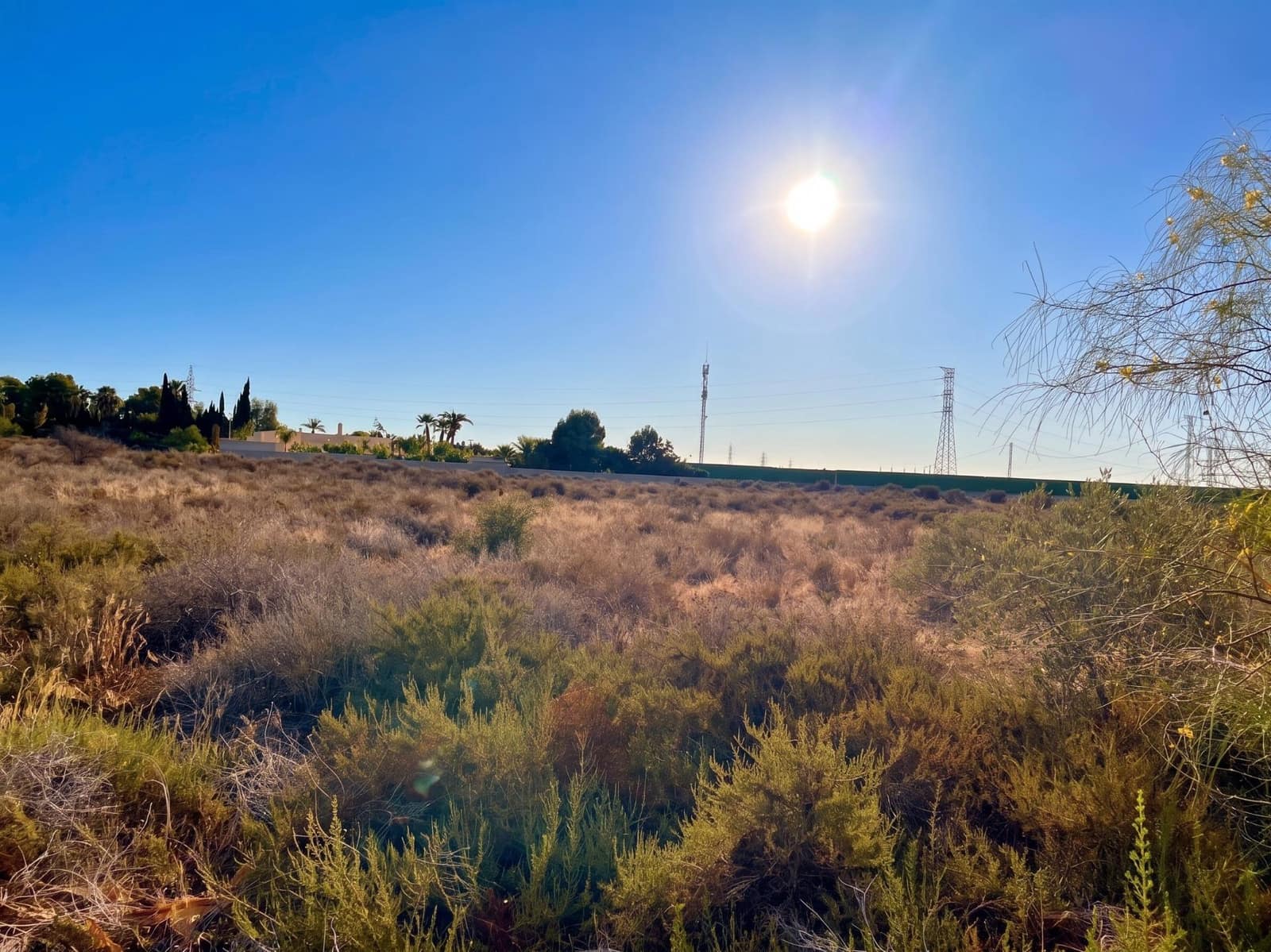 Terre non Aménagée à vendre à Elche / Elx - 185 000 € (Ref: 10034102)