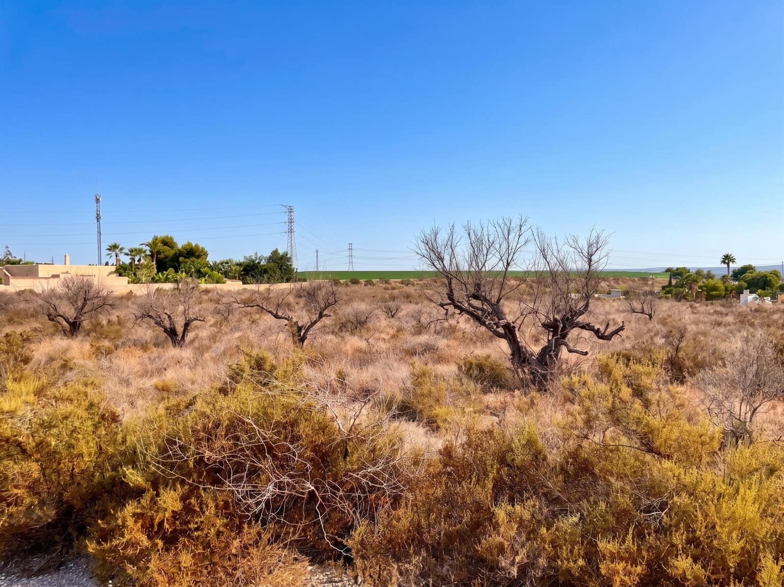 Terre non Aménagée à vendre à Elche / Elx - 185 000 € (Ref: 10034102)