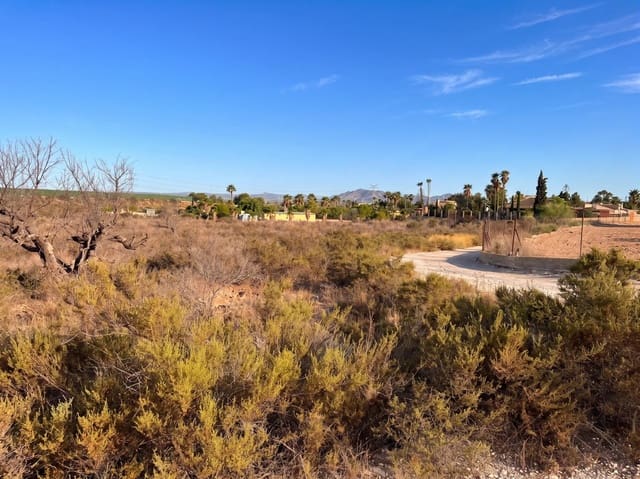 Terre non Aménagée à vendre à Peña de las Águilas, Elche / Elx - 185 000 € (Ref: 10034102)
